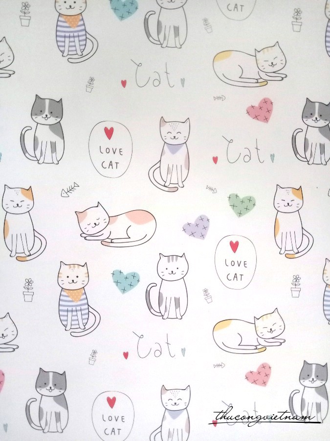 Giấy gói quà Couche - C44